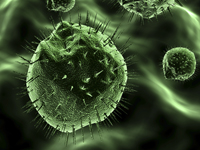 Circulating Tumor Cells